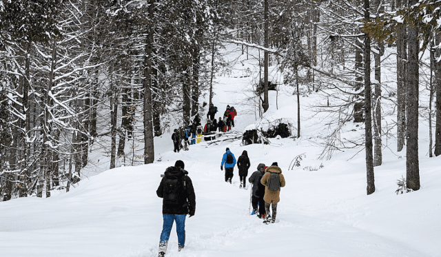 Discover a Frozen Wonderland: Johnston Canyon Ice Walk Tour Is the Ultimate Winter Experience